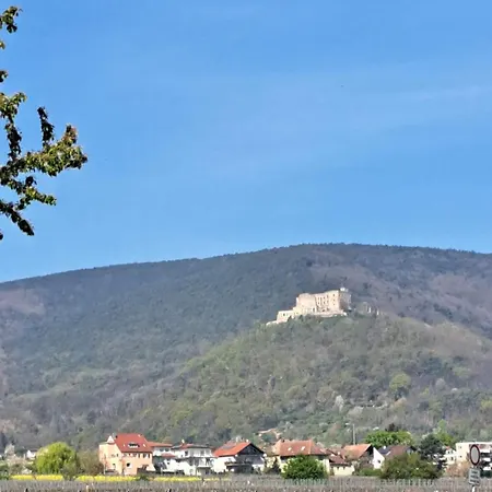 Apartmán Grasmueck Neustadt an der Weinstraße